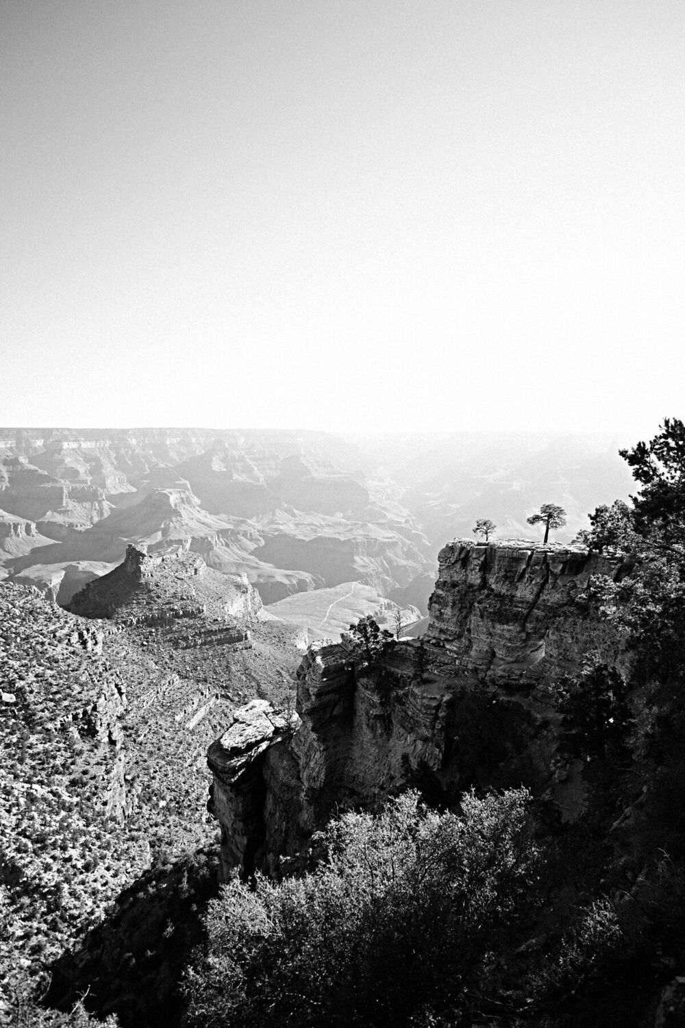 Photograph 14